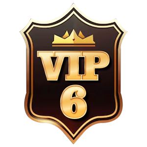vip_rank